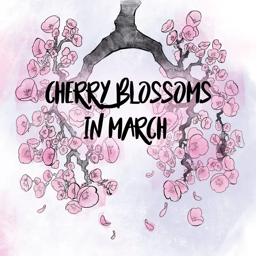 Drama Short – Cherry Blossoms in March